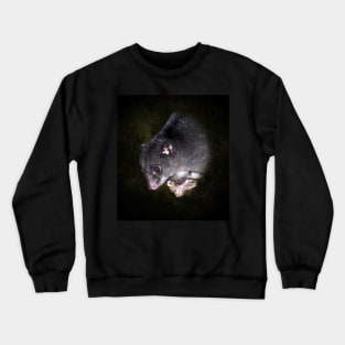 Ground cuscus Crewneck Sweatshirt